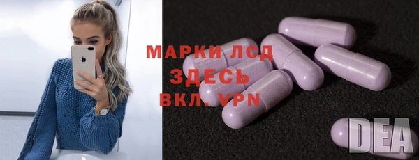 стаф Арсеньев