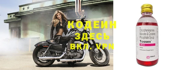 стаф Арсеньев