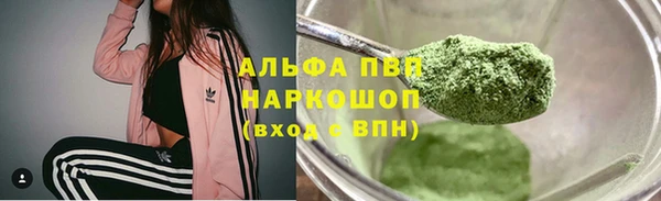 стаф Арсеньев
