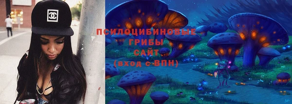 гидропоника Аркадак